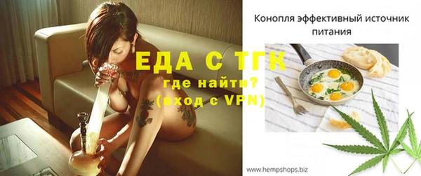 стаф Новокубанск