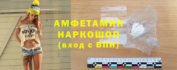 гидра Новозыбков