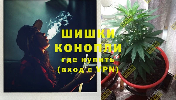 ГАЛЛЮЦИНОГЕННЫЕ ГРИБЫ Нефтегорск