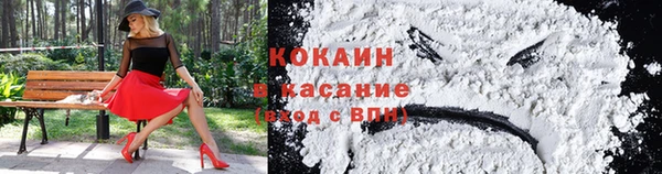стаф Новокубанск