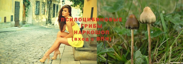 ГАЛЛЮЦИНОГЕННЫЕ ГРИБЫ Нефтегорск