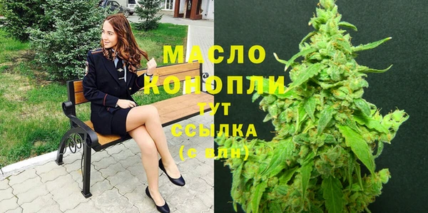гидра Новозыбков