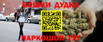 индика Будённовск
