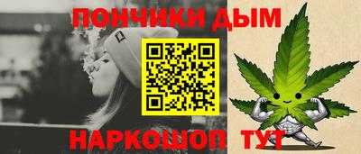 индика Будённовск
