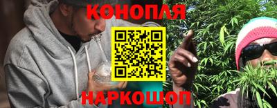 индика Будённовск