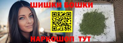 индика Будённовск