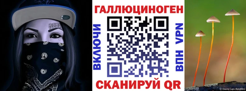 как найти   Избербаш  Галлюциногенные грибы MAGIC MUSHROOMS 