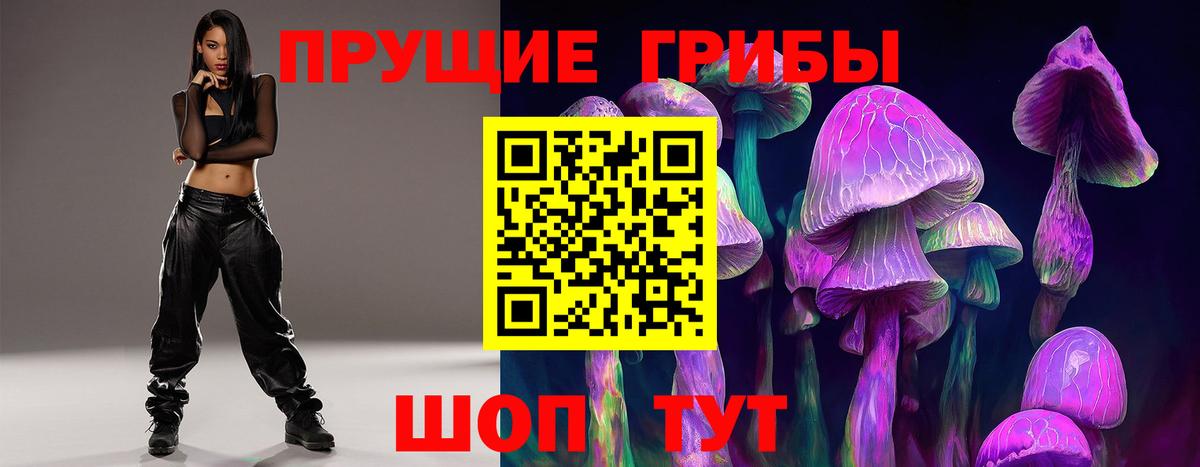 Псилоцибиновые грибы Psilocybine cubensis Избербаш